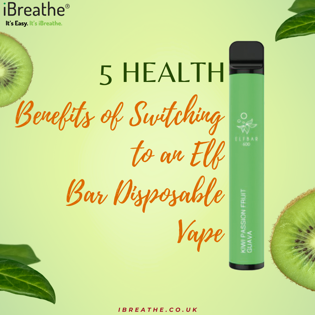 Elf Bar Disposable Vape